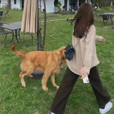 狗不理传奇